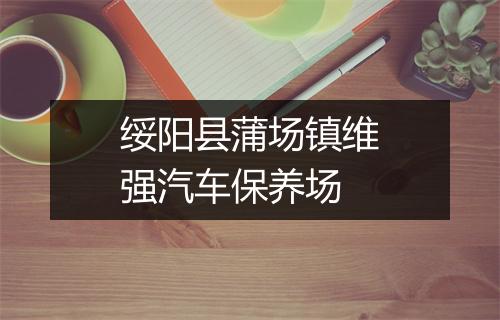 绥阳县蒲场镇维强汽车保养场