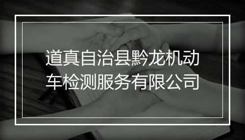 道真自治县黔龙机动车检测服务有限公司