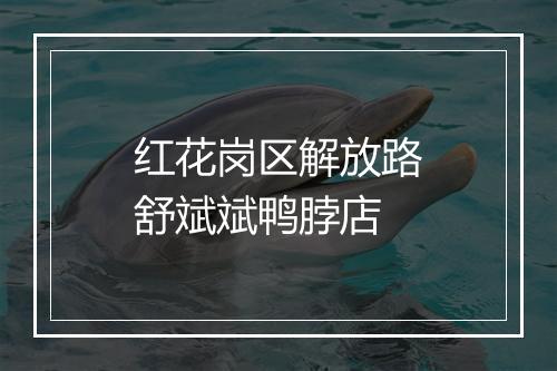 红花岗区解放路舒斌斌鸭脖店