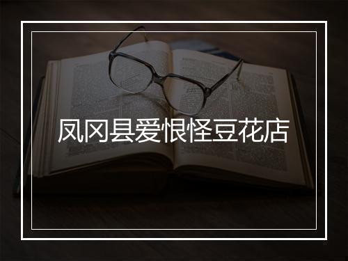 凤冈县爱恨怪豆花店