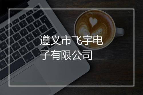 遵义市飞宇电子有限公司