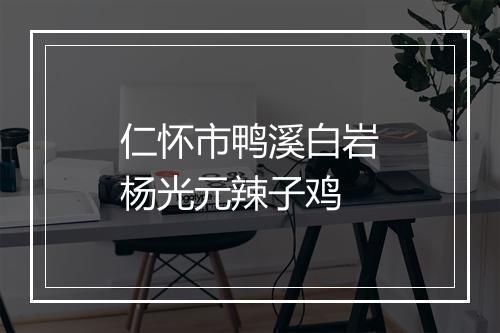 仁怀市鸭溪白岩杨光元辣子鸡