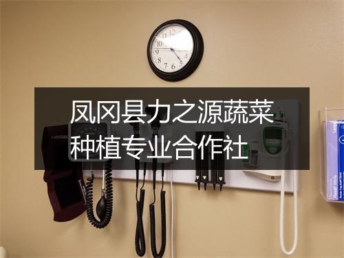 凤冈县力之源蔬菜种植专业合作社