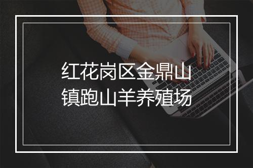 红花岗区金鼎山镇跑山羊养殖场