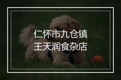 仁怀市九仓镇王天润食杂店