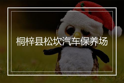 桐梓县松坎汽车保养场