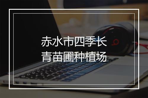 赤水市四季长青苗圃种植场