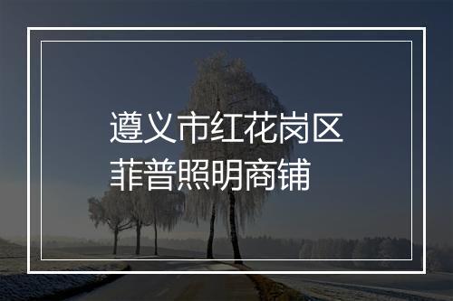 遵义市红花岗区菲普照明商铺