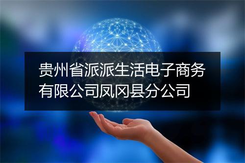 贵州省派派生活电子商务有限公司凤冈县分公司