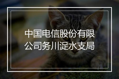 中国电信股份有限公司务川浞水支局