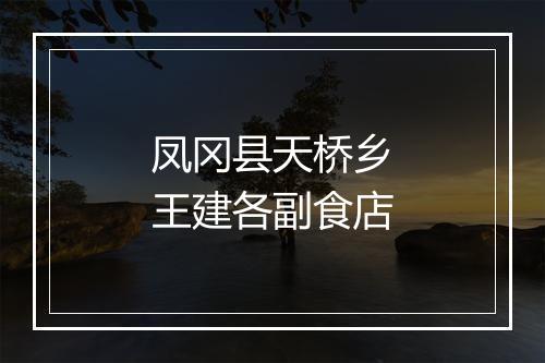 凤冈县天桥乡王建各副食店