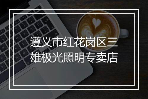 遵义市红花岗区三雄极光照明专卖店