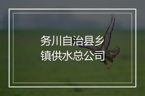 务川自治县乡镇供水总公司