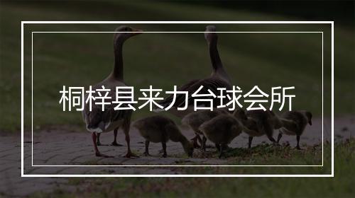 桐梓县来力台球会所
