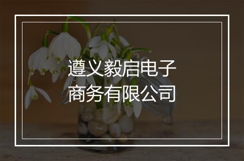遵义毅启电子商务有限公司