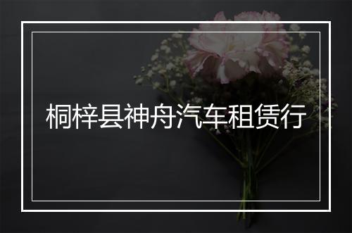 桐梓县神舟汽车租赁行