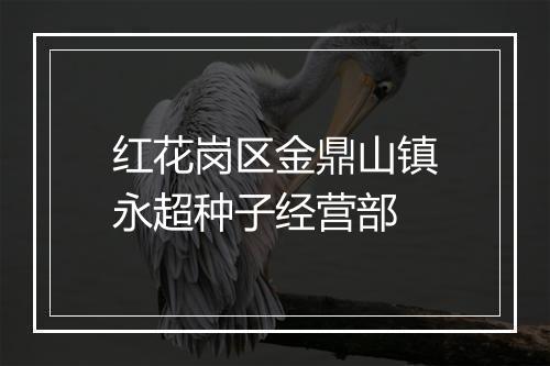 红花岗区金鼎山镇永超种子经营部