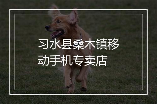 习水县桑木镇移动手机专卖店