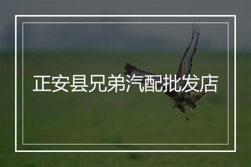 正安县兄弟汽配批发店