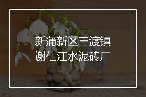 新蒲新区三渡镇谢仕江水泥砖厂