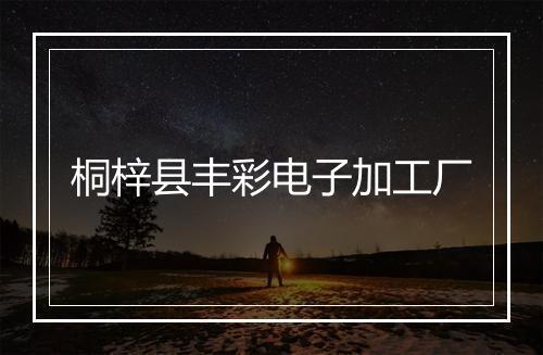 桐梓县丰彩电子加工厂