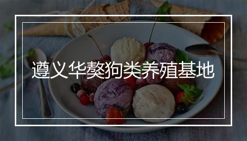 遵义华獒狗类养殖基地