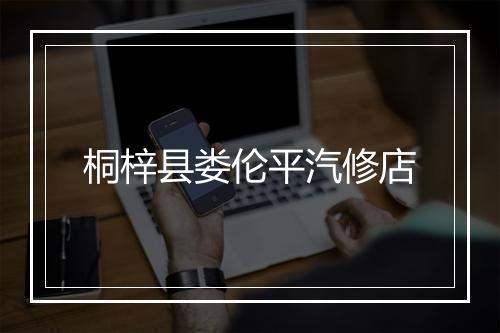 桐梓县娄伦平汽修店