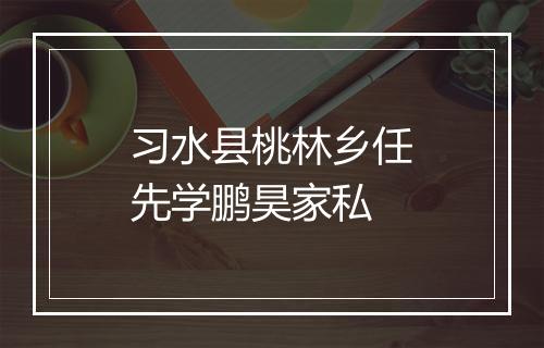 习水县桃林乡任先学鹏昊家私