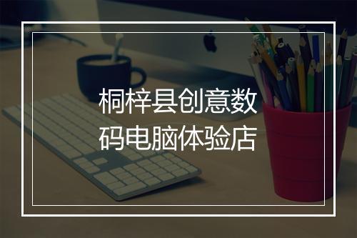桐梓县创意数码电脑体验店