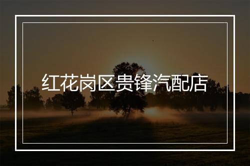 红花岗区贵锋汽配店