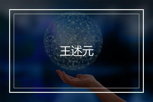 王述元