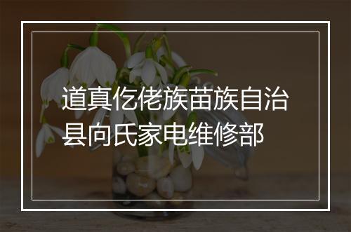 道真仡佬族苗族自治县向氏家电维修部