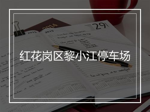 红花岗区黎小江停车场