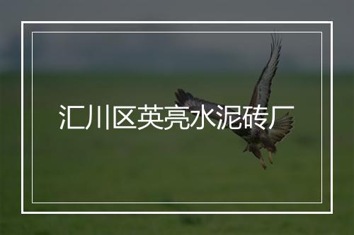 汇川区英亮水泥砖厂