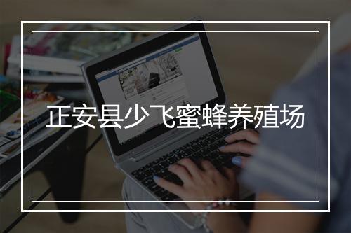 正安县少飞蜜蜂养殖场