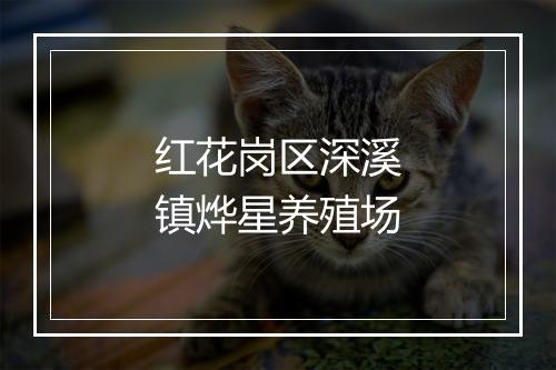 红花岗区深溪镇烨星养殖场