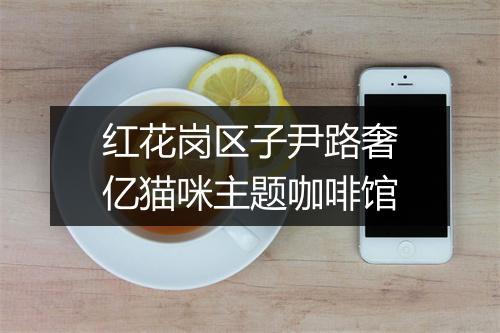 红花岗区子尹路奢亿猫咪主题咖啡馆
