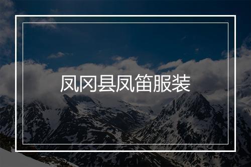 凤冈县凤笛服装