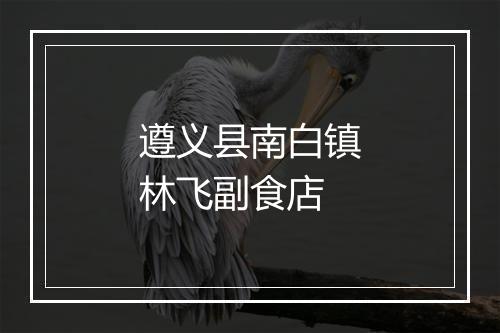遵义县南白镇林飞副食店