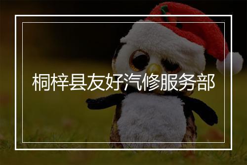 桐梓县友好汽修服务部