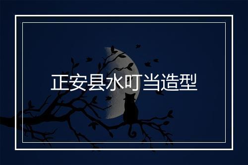 正安县水叮当造型
