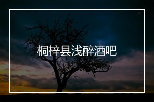 桐梓县浅醉酒吧