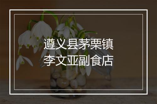 遵义县茅栗镇李文亚副食店