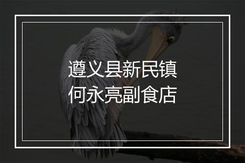 遵义县新民镇何永亮副食店