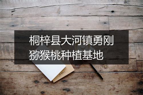 桐梓县大河镇勇刚猕猴桃种植基地