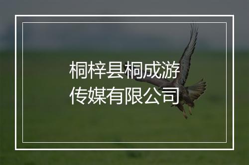 桐梓县桐成游传媒有限公司