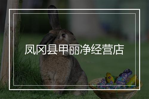 凤冈县甲丽净经营店