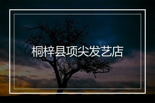 桐梓县项尖发艺店