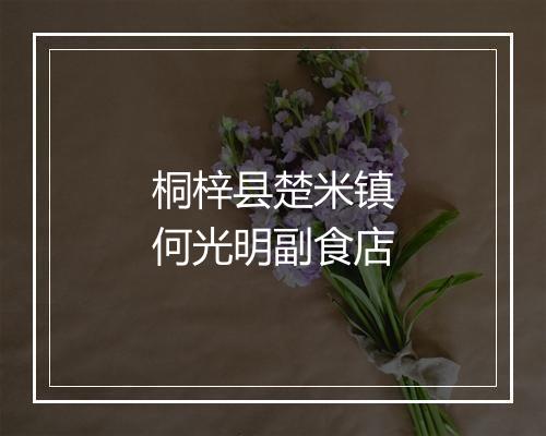 桐梓县楚米镇何光明副食店