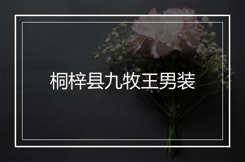 桐梓县九牧王男装